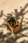 Local/Organic Produce Box